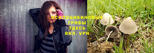 ГАЛЛЮЦИНОГЕННЫЕ ГРИБЫ Надым