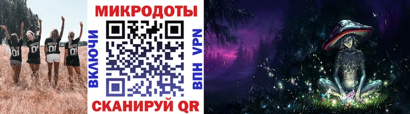Псилоцибиновые грибы Psilocybe Волжский