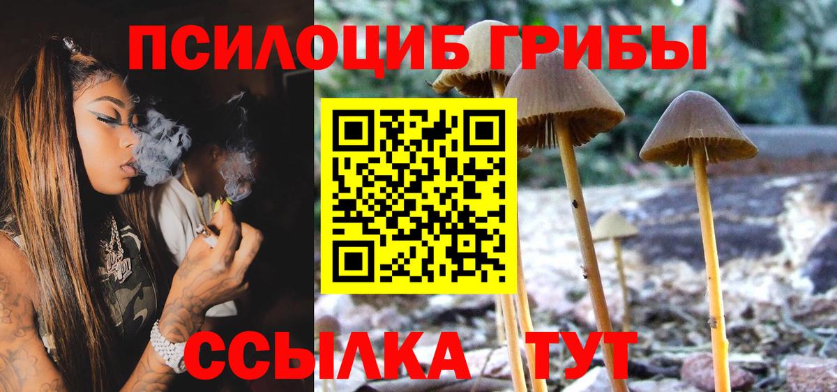 Псилоцибиновые грибы мицелий  Вход с VPN  Волжский 