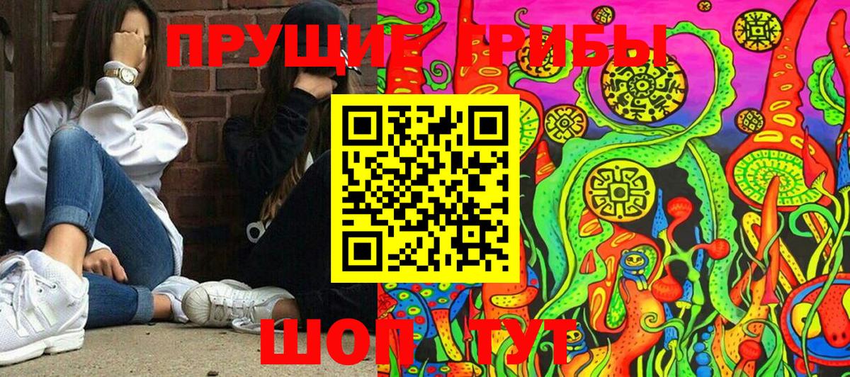 Галлюциногенные грибы Psilocybe  Волжский 