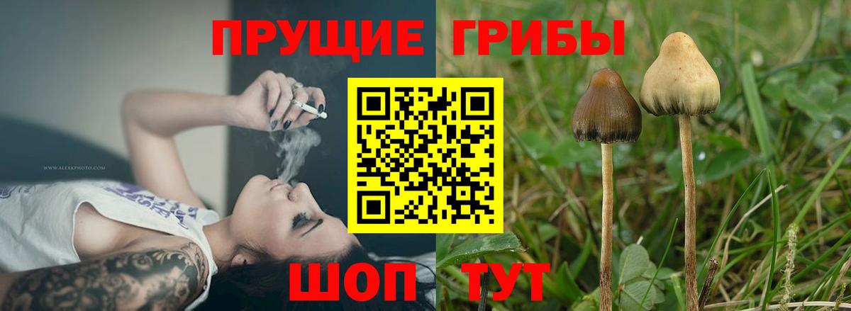 Галлюциногенные грибы GOLDEN TEACHER Волжский